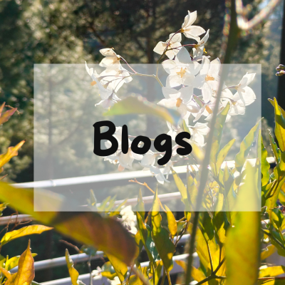 Blogs